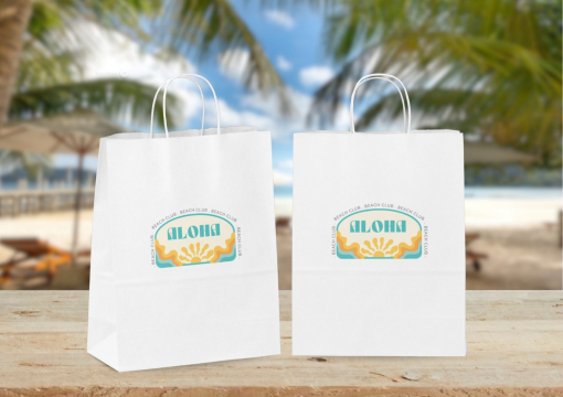 Sacs papier kraft avec anses rondes | PIT Packaging.fr | Paysdesenveloppes