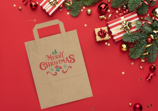 Sacs papier kraft avec anses plates | PIT Packaging.fr | Paysdesenveloppes