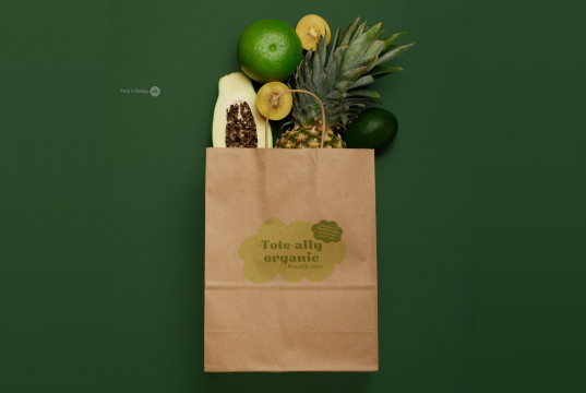 Sacs papier kraft avec anses rondes | PIT Packaging.fr | Paysdesenveloppes