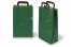 Sacs papier kraft avec anses plates - vert, 220 x 105 x 360 mm | PIT Packaging.fr | Paysdesenveloppes