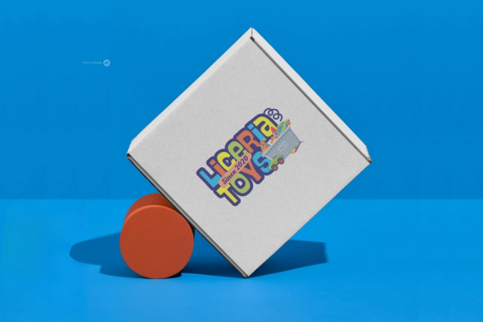 Boîte carton avec fermeture renforcée | PIT Packaging.fr | Paysdesenveloppes