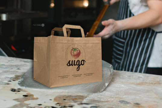 Sacs papier kraft avec anses plates | PIT Packaging.fr | Paysdesenveloppes