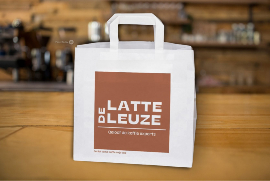 Sacs papier kraft avec anses plates | PIT Packaging.fr | Paysdesenveloppes