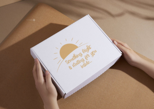 Boîte carton avec fermeture renforcée | PIT Packaging.fr | Paysdesenveloppes