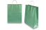 Sacs papier kraft avec anses rondes - vert métallisé, 320 x 120 x 410 mm, 100 gr | PIT Packaging.fr | Paysdesenveloppes