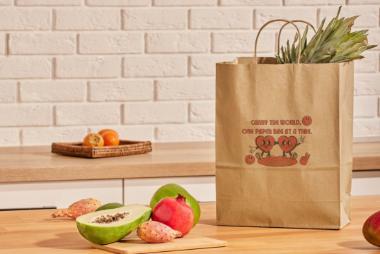 Sacs papier kraft avec anses rondes | PIT Packaging.fr | Paysdesenveloppes