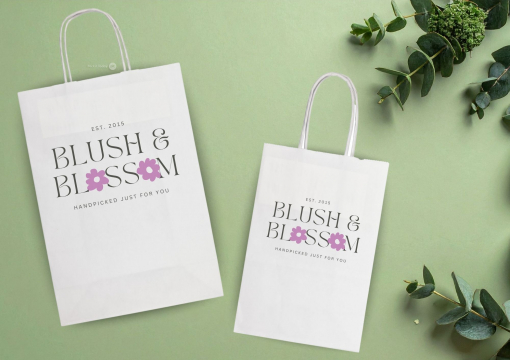 Sacs papier kraft avec anses rondes | PIT Packaging.fr | Paysdesenveloppes